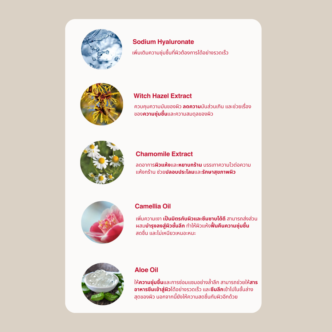 โลชั่นทาหน้า - Daughter Facial Lotion - ดอเตอร์ โลชั่นทาหน้า