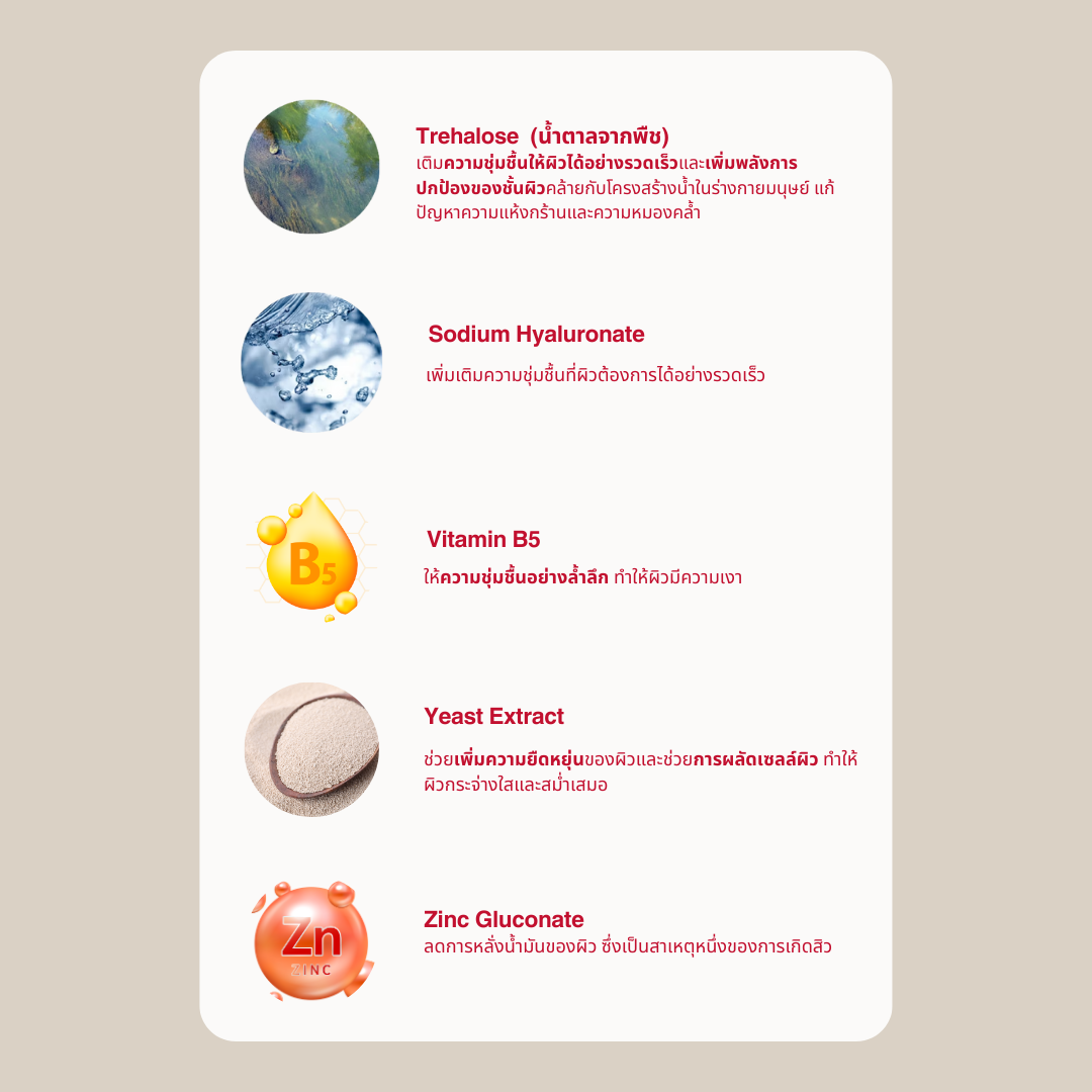 หน้ามันเอาอยู่ - Daughter Oil Control Serum - ดอเตอร์ ออยล์คอนโทรลซีรั่ม