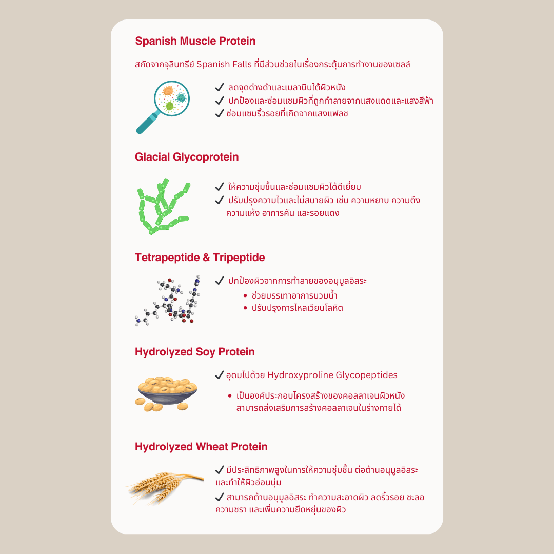 ลดฝ้าแดด และ จุดด่างดำ - Multi-Corrective Cream - ครีมมัลติคอร์เรคทีฟ